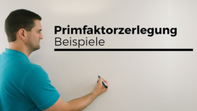 Gleitkommazahlen