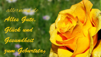 Herzliche Glückwünsche zum 60. Geburtstag einer Frau – Worte mit Bedeutung und Stil 60. Geburtstag