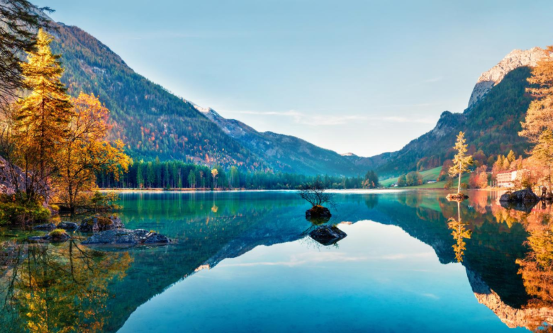 Titel: Die magische Welt der „Panorama-Kindertapete“: Erschaffen Sie eine Traumwelt für Ihre Kleinen Panorama