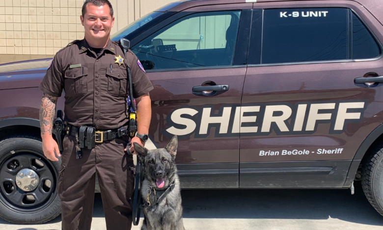 „Scheiß Sheriff“: Ein tiefer Einblick in Bedeutung, Kultur, Humor und unerwartete Popularität des Ausdrucks Scheiß Sheriff